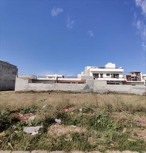 Residential Land for sale in Aero City, Mohali