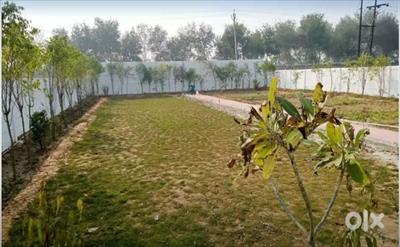 Residential Land for sale in Badsa, Gurgaon