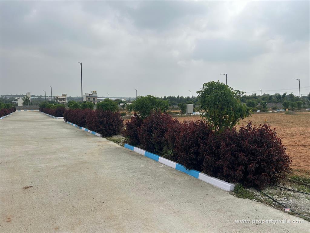 land plots