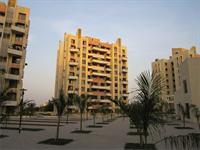 Roystonea Magarpatta City