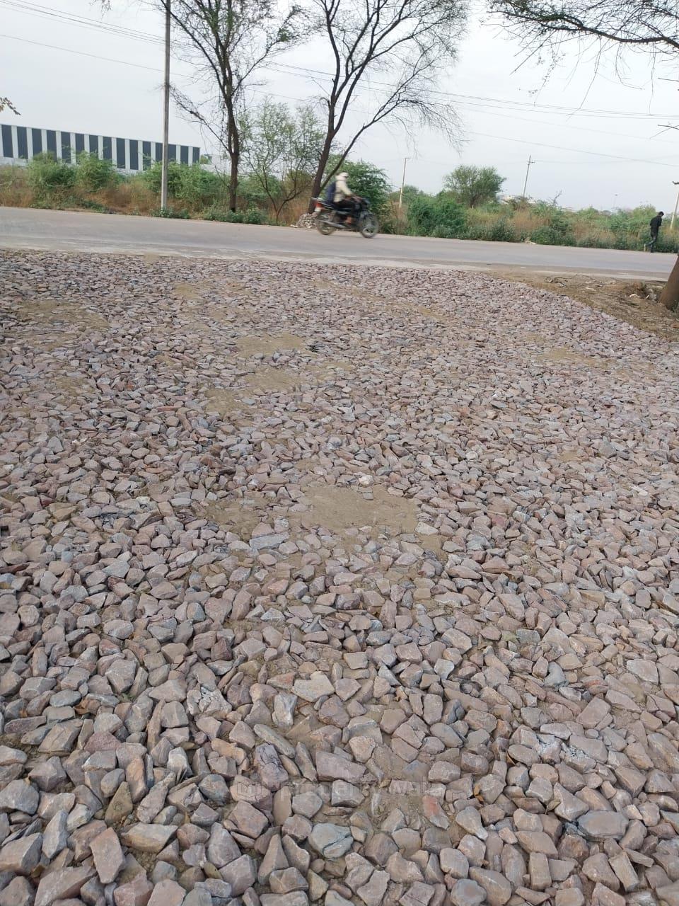 road view