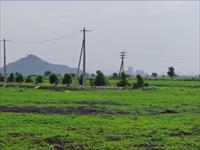 Residential Plot / Land for sale in Tadikonda, Guntur