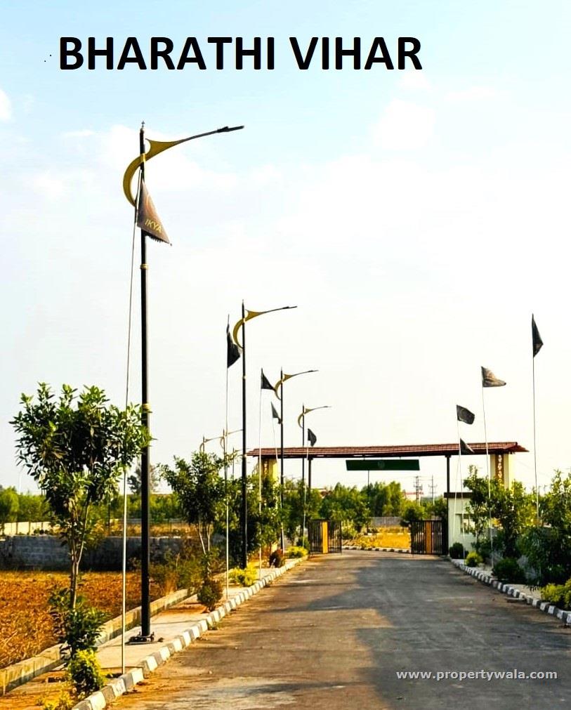 PLOT VIEW