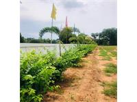 Agricultural Plot / Land for sale in Vepada, Vizianagaram