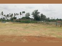 Residential Plot For Sale At Samayapuram In V.Thuraiyur Road