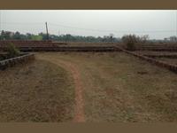Residential Plot / Land for sale in Barang, Cuttack