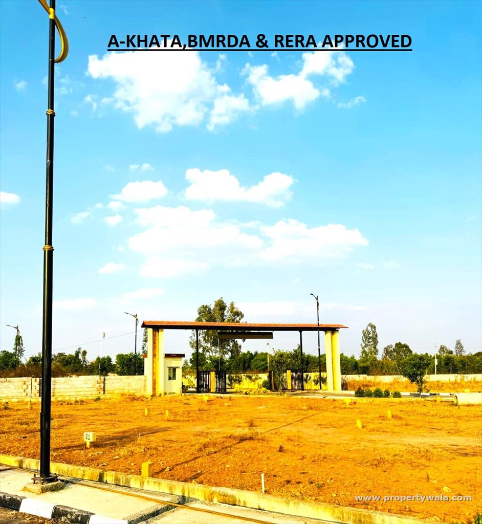 PLOT VIEW