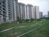 3 BHK + servant Area 2464 sqft. for sale in Central park Resorts