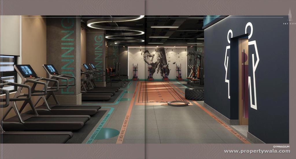 Gymnasium