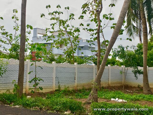 Boundary View