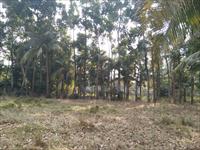 LAND FOR SALE EM BYPASS Ruby hospital Anandapur nazirabad main road
