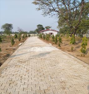 1 Bedroom Farm House for sale in Sohna Road area, Faridabad