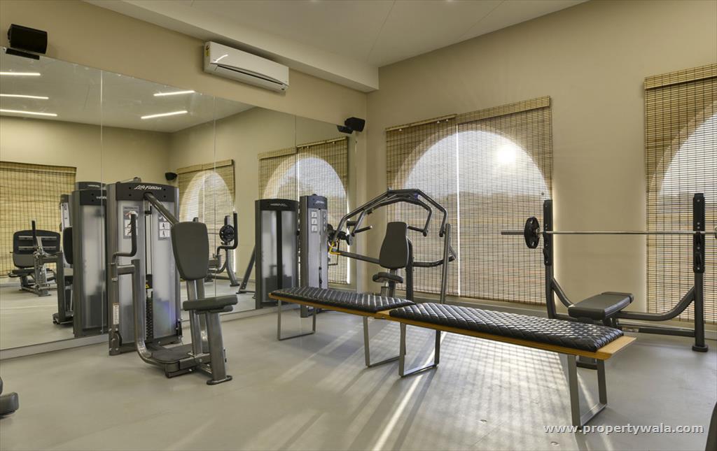 Gymnasium