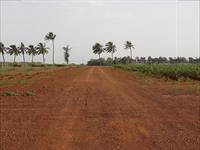 Road View