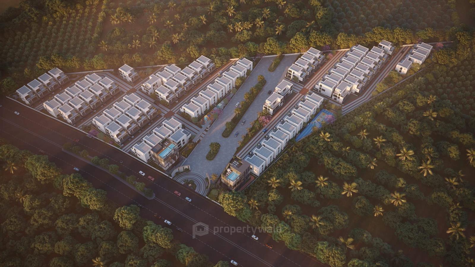 Project - Birdseye View