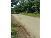 60 Acres Farm / Agricultural Land Available For Sale At Gholvad Near Dahanu Road