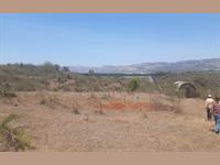 Agricultural Land available Vadeshwar