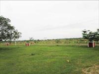 Land for sale in UDB Royal Habitat, Ajmer Road area, Jaipur