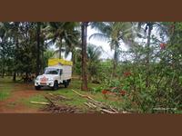 Convertible Farm House Land for sale on Goa-Maharashtra Border