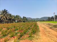 Agricultural Plot / Land for sale in Koduvayur, Palakkad