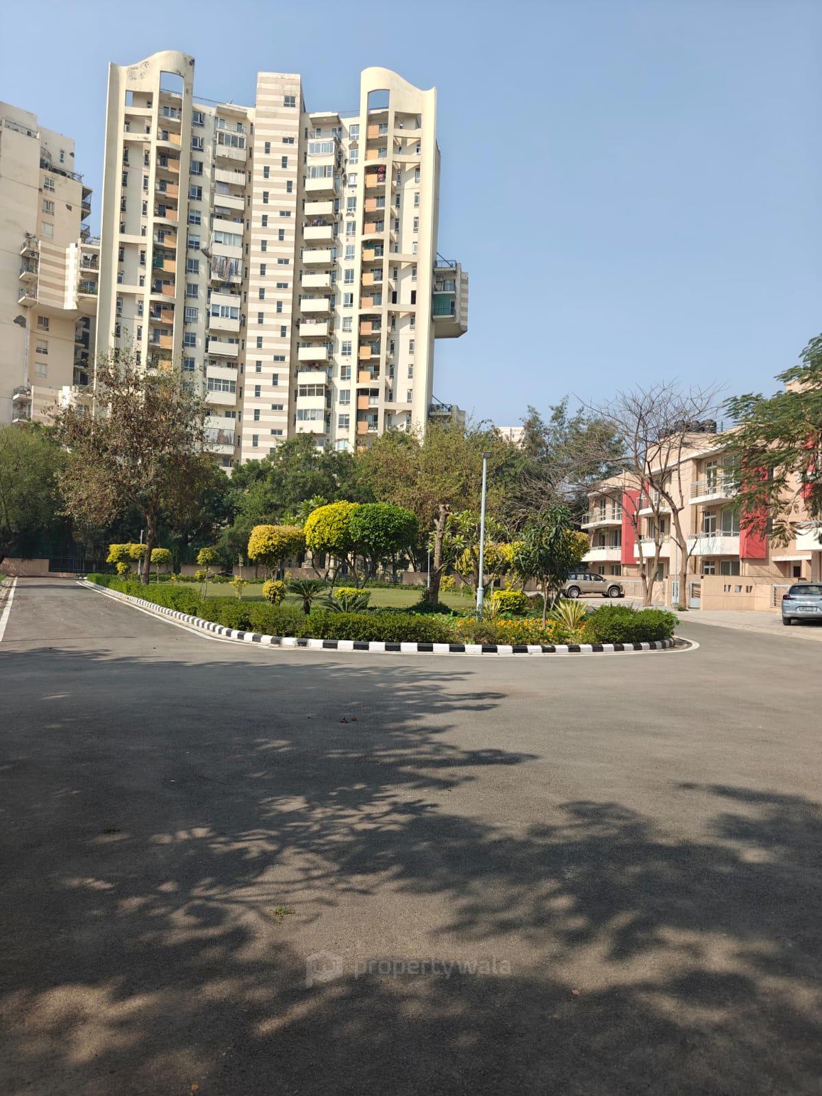 Front View