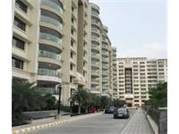 4 Bedroom Flat for rent in Ambience Caitriona, DLF City Phase III, Gurgaon