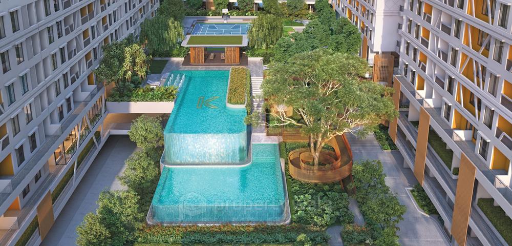 Project - Swimming Pool