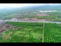 125 Acres Highway Touch Land Available For Sale At Dahanu