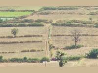 Agri Land for sale in Kanakapura Road area, Bangalore