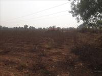 fully agriculture land sale at kumhari - ahiwara road village BARGAON 11 acres