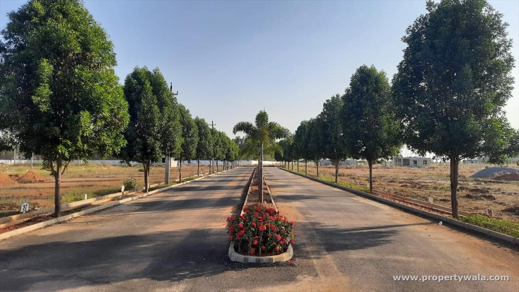 plot view
