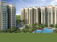 3 Bedroom Flat for sale in Gayatri Life, Noida Extension, Greater Noida