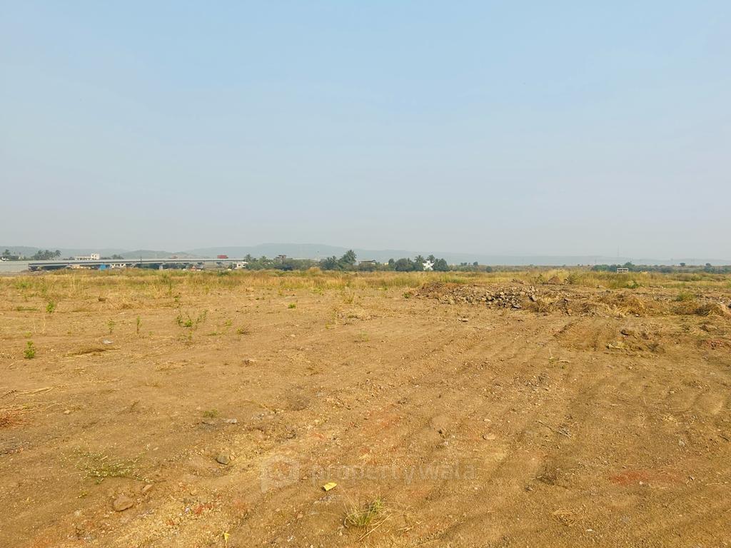 PLOT VIEW