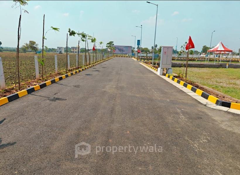 Road View