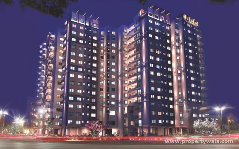 Night View