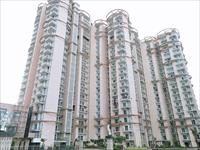 Project Details: Samridhi Luxuriya Avenue located in Sector 150, Noida, a project by Samridhi Group