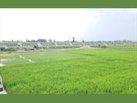 Agricultural Plot / Land for sale in NH 56B, Lucknow