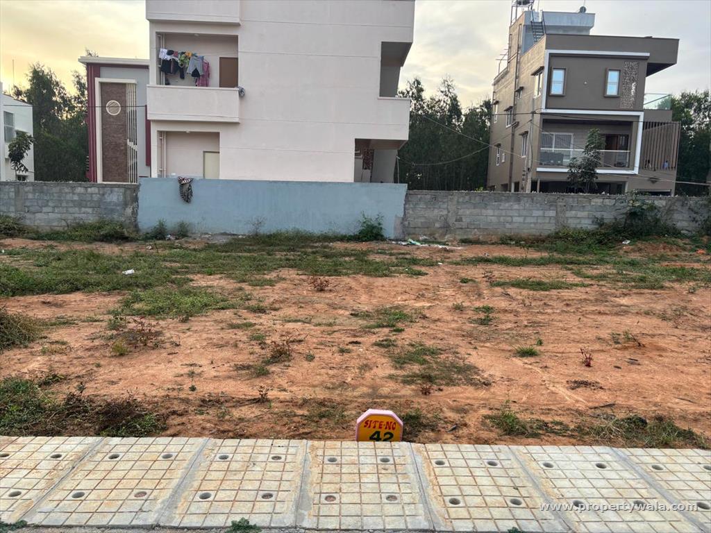 plot image