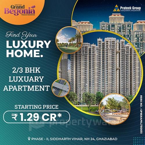 Prateek Grand Begonia