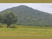 10 ACRE -RED SOIL AMEZING LAND FOR SALE