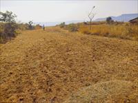 Residential Plot / Land for sale in Patan, Satara