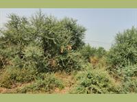 Residential Plot / Land for sale in Jagatpura, Jaipur