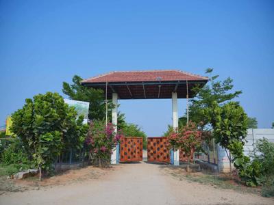Neralu Sandal Valley - Chikkaballapur, Bangalore