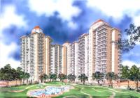 3 Bedroom Flat for rent in Amrapali Royal, Indirapuram, Ghaziabad