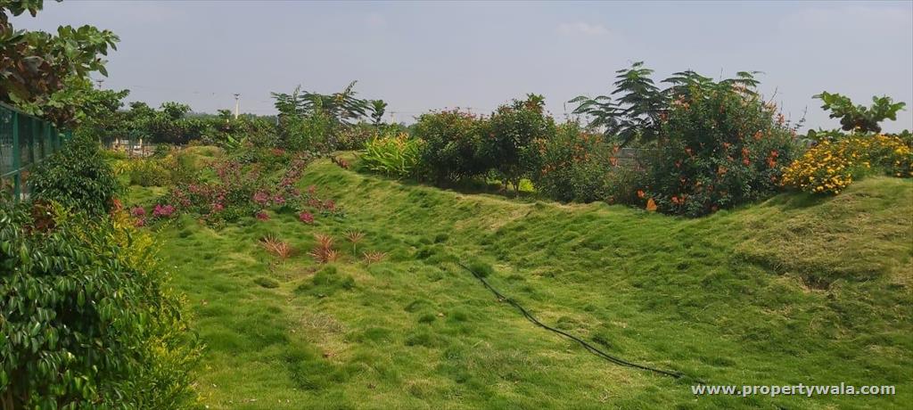 plot view