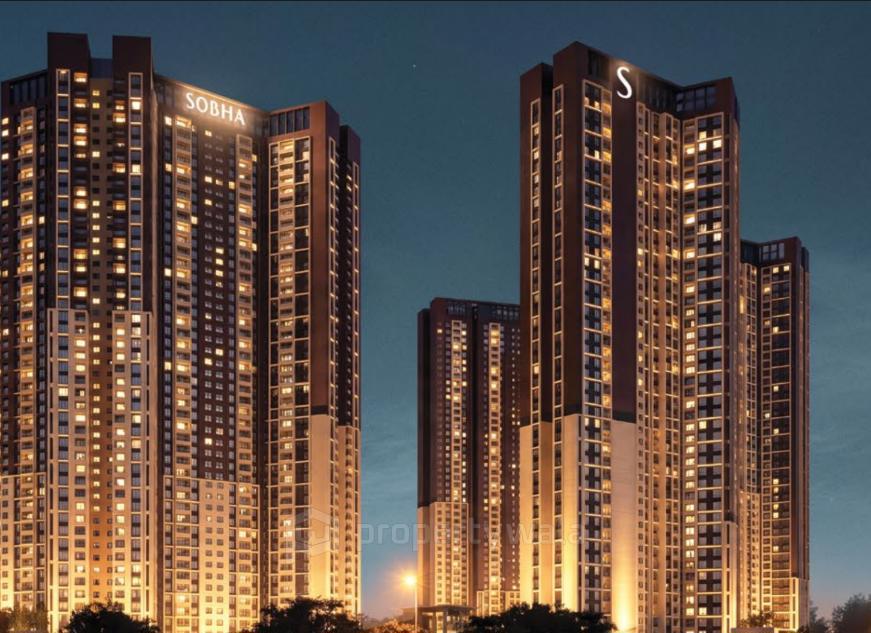 Night View