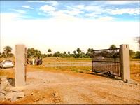 Residential Land for sale in Parsada, Raipur