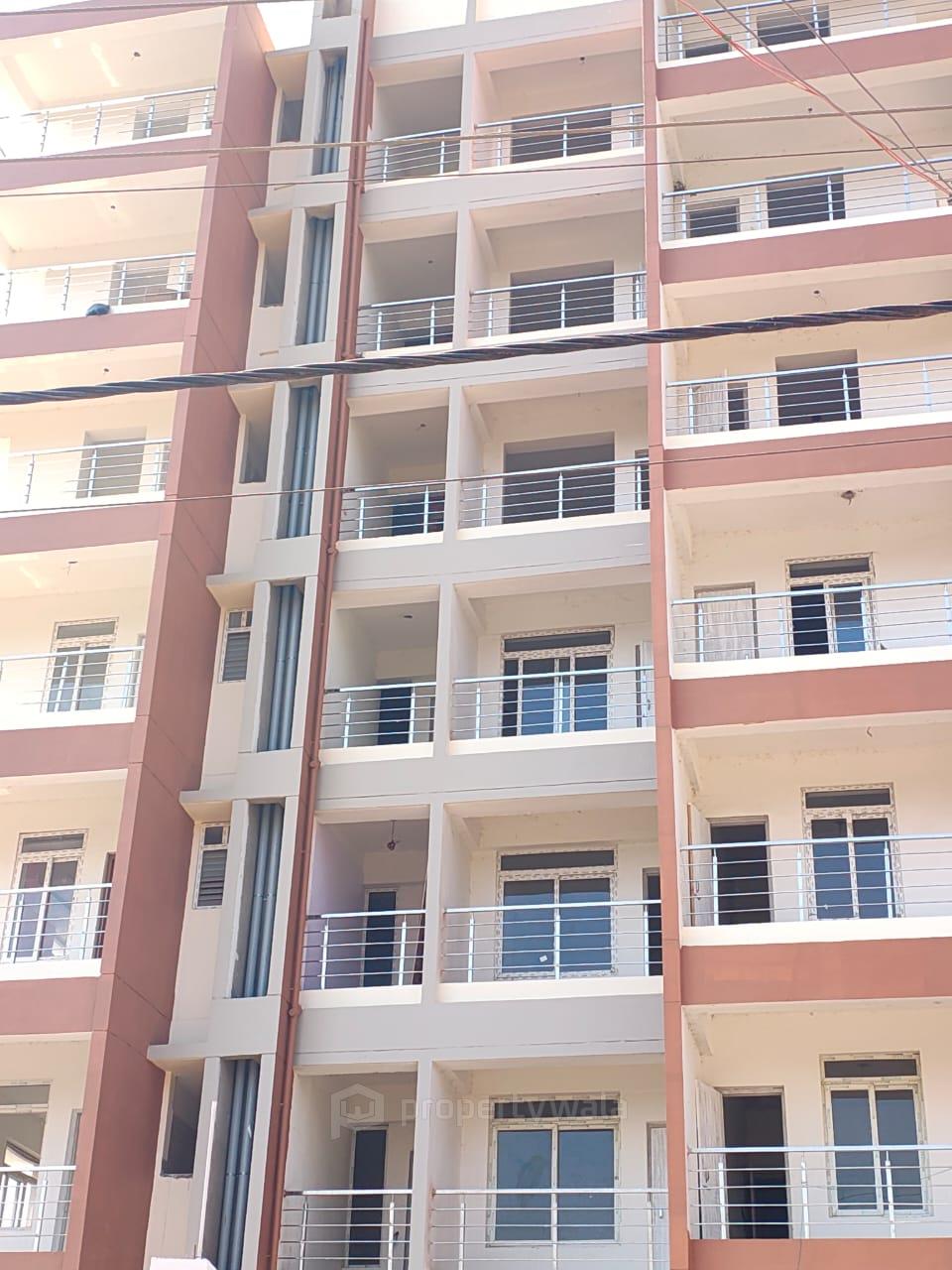 Elevation