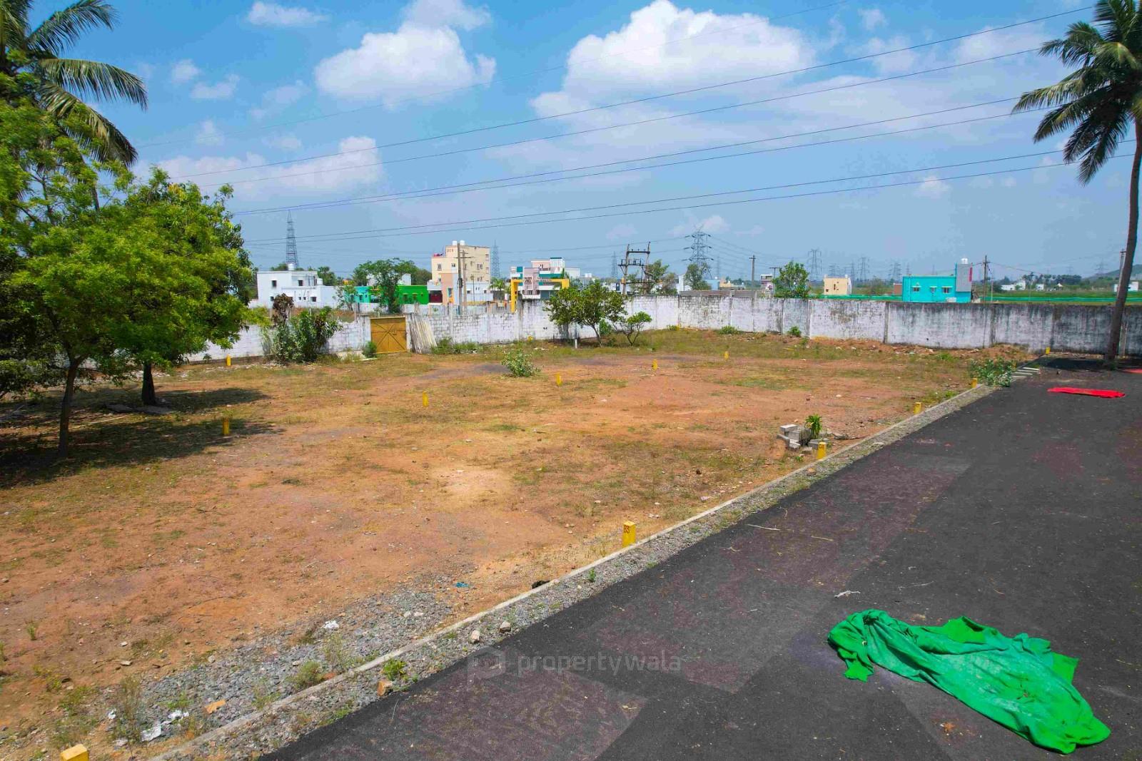 plot photo