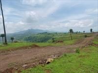 Agricultural Plot / Land for sale in Bhor, Pune